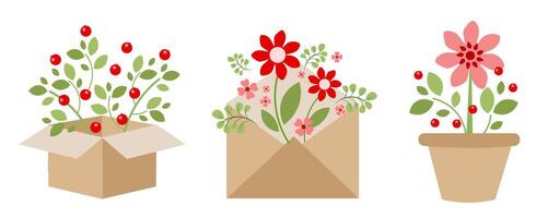 A set of bouquets of spring, red flowers on a white background. Greeting card. Box with berries, envelope with flowers, flower flowerpot with flower and berries vector