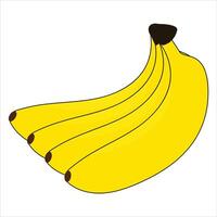 banana is isolated on a white background vector