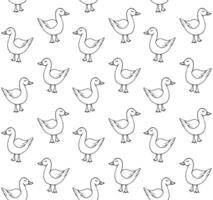 Seamless pattern of hand drawn doodle sketch duck isolated on white background vector