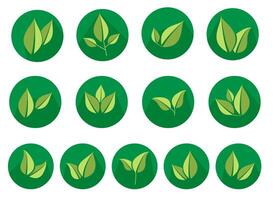 Flat leaves icons with shadow. vector
