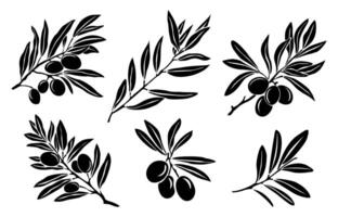 Olive branch black silhouettes set vector