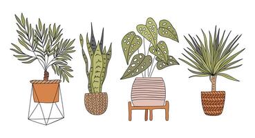 A set of four different types of house plants vector