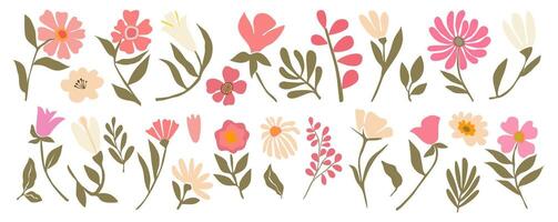 Set of different flowers and leaves on a white background vector