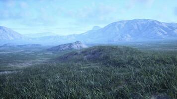 A scenic view of a vast grassy field with majestic mountains in the backdrop video