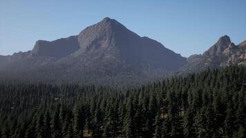 A view of a mountain range with trees in the foreground video