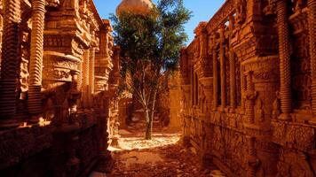 A narrow alley with a tree in the middle of it video