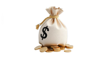 Wealth and Prosperity. A Money Bag Overflowing with Golden Coins png