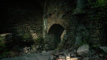 Old stone ruins with archway and natural vegetation in a dim light setting video