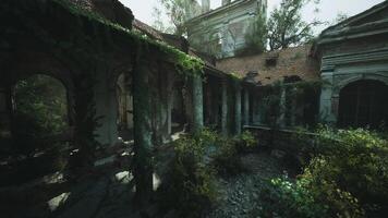 Abandoned courtyard filled with greenery in an old building at daytime video