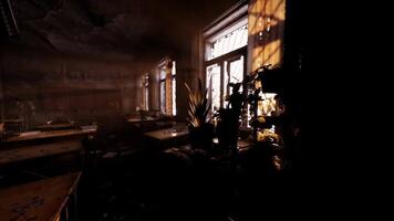 Abandoned classroom filled with shadows and sunlight at dusk in an old building video