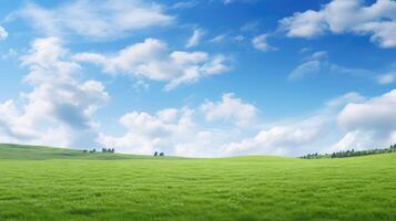 vivid green grass blue skies photo