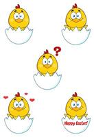 Yellow Chick Cartoon Character. Collection Set - 1 vector