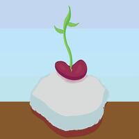 Classroom beans experiment vector