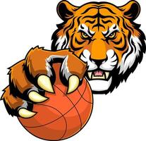 Cartoon Tiger with Sharp Claws Gripping Basketball vector