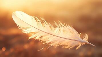 illuminated floating white feather photo