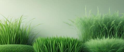 Texture of lush green grass in various forms from short turf to tall meadow perfect for backgrounds and design. photo