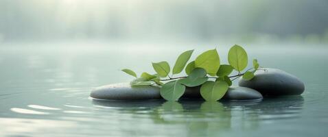 Green Leaves Rest on Wet Stones in Calm Water with Blurred Background Gently. photo