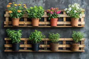 Potted plants hanging on rustic wooden shelves against a gray wall.. photo