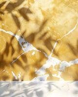 Yellow Marble Wall with White Veining and Leaf Shadows Above White Marble Surface photo