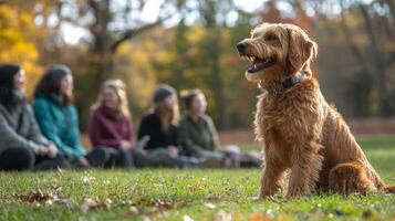 A dog sitting in the grass with people sitting around it photo