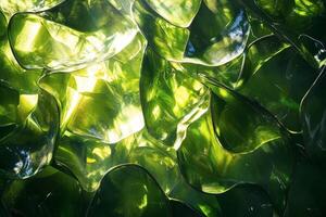 A close up of a green plant with sunlight shining through it photo