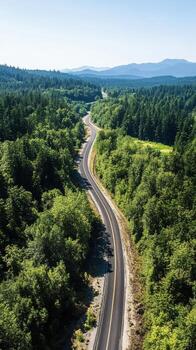 An aerial view of a winding road surrounded by trees photo