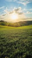 A field with grass and sun shining over it photo