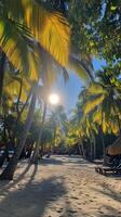 A tropical beach with palm trees and sun photo