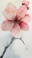A painting of a pink flower on a branch photo