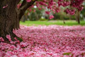Pink flowers on the ground under a tree photo