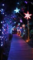 A walkway lined with colorful lights and trees photo