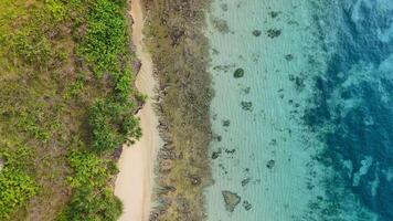 Coastline with beach and turquoise clear ocean, drone view in Bali video