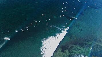 Surfers and crashing waves in blue ocean. Aerial view with surfing on wave. video