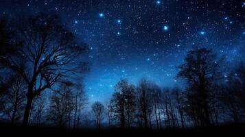 silhouette night sky with trees photo