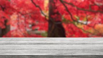 Empty wood white table with red tree at park sakura style bokeh blur background copy space for display of product video