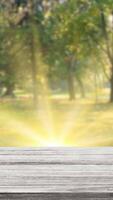 Empty wood table with green tree at park with shiny light bokeh blur vertical background copy space for display of product video
