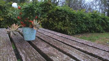 A picnic table in a public garden plot is covered with ice in winter. video