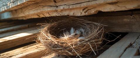 Nest built by a bird under a wooden beam in a rustic structure during daytime. photo