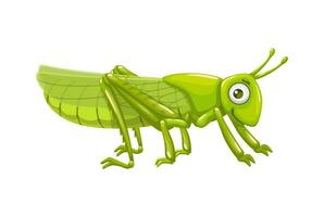 Cartoon locust insect, funny grasshopper character vector