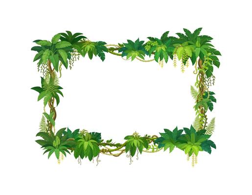 Liana frame of jungle forest tropical green leaves