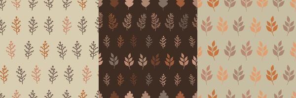 Autumn leaf patterns in set vector