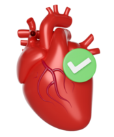3d realistic human heart with check mark isolated. health check concept, 3d illustration render png