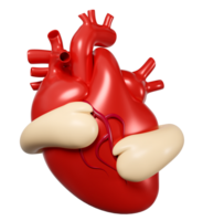 3d hands hugging realistic human heart isolated. 3d illustration render png