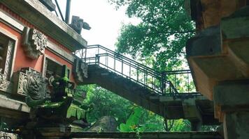 complexe pierre structure avec métal escalier dans luxuriant verdure video