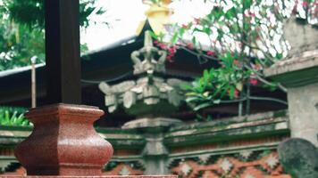 A close-up view of a decorative pot in a garden setting, with lush greenery and traditional architecture in the background. The scene conveys tranquility and cultural richness video