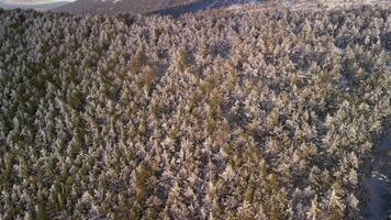 View Of The Mountains Of Navacerrada In Castilla Leon During Winter video