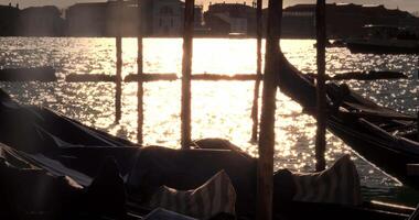 Row of Gondolas at the San Marco Water Station In Venice During A Cold day video