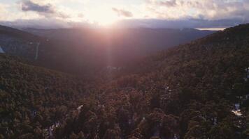 Aerial view of the region of Navacerrada in Castilla Leon in Spain video