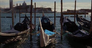 Gondolas Floating On The Grand Canal Of Venice During Sunset video
