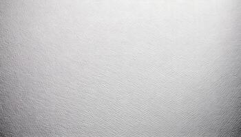 white paper background photo
